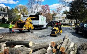 Artificial Turf Installation in Cohoes, NY