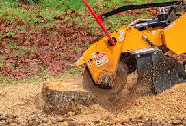 Best Stump Grinding and Removal  in Cohoes, NY